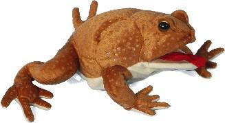 12" Marine Toad Puppet - Puppethut