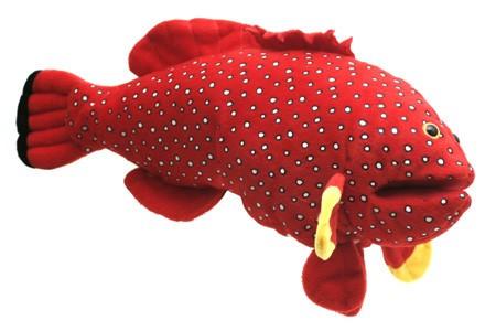 16" Coral Fish Puppet - Puppethut
